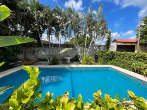 a pool in the garden of a villa at Villa Siloe in Las Delicias