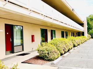 a row of bushes in front of a building at Hotel Pentagon in Arlington