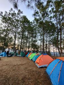 a group of tents in a field with trees at Parque Natural Barranca de los Jilgueros in Zacatlán