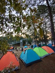 a group of tents on the ground under trees at Parque Natural Barranca de los Jilgueros in Zacatlán
