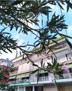 an apartment building seen through the branches of a tree at Appartement entier in Paralia Katerinis
