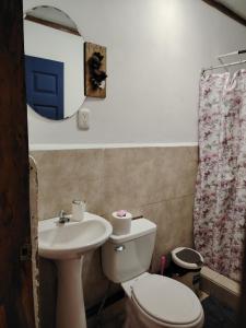 a bathroom with a toilet and a sink and a mirror at Casa Cristy in Puerto Viejo +40 photos