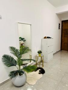 Afbeelding uit fotogalerij van Nemra IVY in Colombo