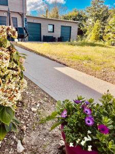 Zahrada ubytování Chez Fred "Les Cuchettes" Magnifique maison