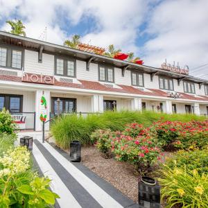 Zahrada ubytování Daddy O Hotel