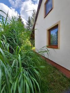 Gambar di galeri bagi Domek nad jeziorem, łódka, kajak di Zalewo