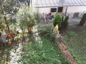 an overhead view of a garden with trees and plants at Bern room near Main Station in Bern