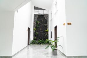 a hallway with white walls and a plant at Home 333 habitacion 336 in Escazu