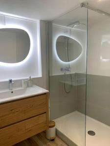 ein Badezimmer mit Dusche und Waschbecken in der Unterkunft Douceur de vivre in Neuilly-Plaisance