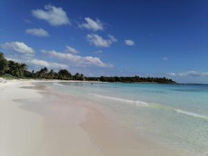 a beach with blue water and an island in the distance at Ela in Playa del Carmen