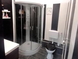 a bathroom with a shower and a toilet at Nr 5 Doppelzimmer mit Talblick in Annaberg-Buchholz