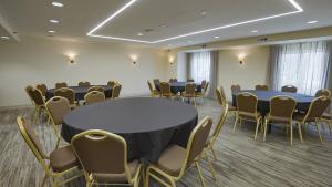 Konferenční prostory v ubytování Holiday Inn Irving Las Colinas by IHG