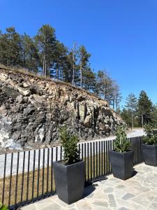 Landskap nær leiligheten