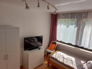 a bedroom with a tv and a bed and a window at Großes PANORAMA APARTMENT in Bingen am Rhein