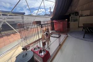 RESORT SPA FutureRESORT的阳台或露台