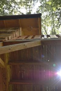 a wooden out house with the sun shining on it at Treehouse Velké Losiny in Velké Losiny