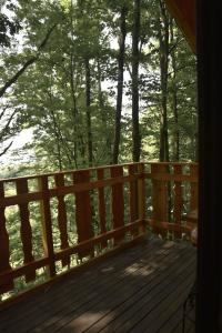 a wooden deck with a view of the trees at Treehouse Velké Losiny in Velké Losiny