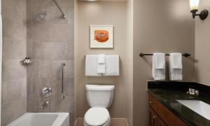 ein Badezimmer mit Toilette, Dusche und Waschbecken in der Unterkunft Marriott Mountainside Luxury Studio in Park City