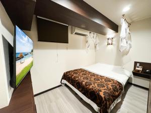 TV a/nebo společenská místnost v ubytování Hotel BaliBali Matsudo