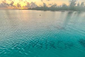 阿瓦托鲁Rangiroa Tiny House的一大片水域的景色