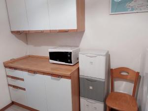 a small kitchen with a microwave and a refrigerator at Al Giardino Che Non C'è in Trieste