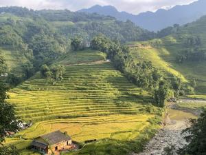 an agricultural field with a house on the side of a hill at Sapa Garden Hostel in Lao Cai