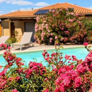 a bunch of pink flowers next to a swimming pool at Villa Font Vive - Chambres d'hôtes éco-labellisées avec cuisine - Confort, calme et vue exceptionnels ! in Grospierres