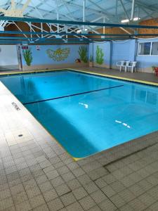 a large swimming pool with blue water in a building at Ty Haf in Swansea