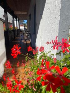 Fotografie z fotogalerie ubytování Gästehaus Vis-A-Vis v destinaci Rüdesheim am Rhein + 3 fotografie