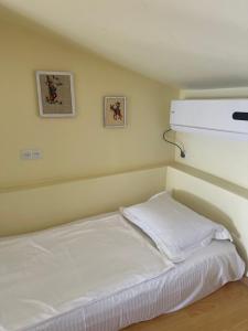 Letto o letti in una camera di Green ToniC Hostel