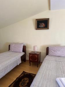 Letto o letti in una camera di Green ToniC Hostel