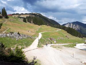 a person walking down a dirt road on a hill at Untere Firstalm in Schliersee