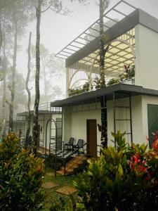 Zahrada ubytování Roots Munnar