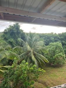 Gallery image of Dave's Two Bedroom Apartments 758 in Micoud