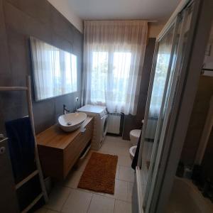 a bathroom with a sink and a toilet and a shower at Incantevole appartamento in Sestola +12 photos