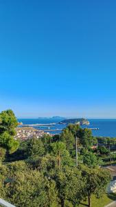 a view of a city and the ocean with trees at RIAMA AGRIRESORT in Naples +86 photos
