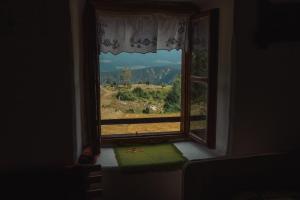 Afbeelding uit fotogalerij van Household Šain in Pluzine +31 foto's