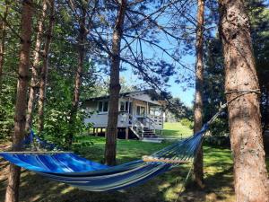 a hammock in the trees in front of a house at Atpūta pie upītes in Krāslava