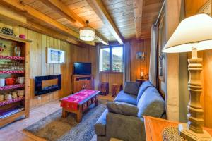 un salon avec un canapé et une télévision dans l'établissement Chalet Puy-Saint-Pierre avec vue, à Puy-Saint-Pierre