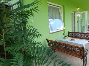 a green room with a bench and a large plant at Afrodita in Štúrovo