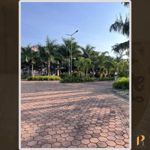 a cobblestone street with palm trees in a park at Rozy homes, Garuga Entebbe, next to lake Victoria in Wakiso