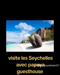 Fotografie z fotogalerie ubytování PAPAYAS SELF catering ROOM v destinaci Victoria