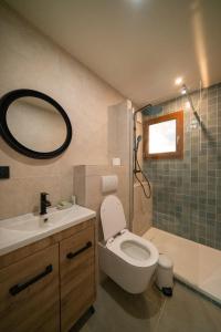 アルベールヴィルにあるStudio Conflans by ExplorHome - Albertvilleのトイレ、洗面台、シャワー付きのバスルーム