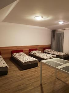 Ένα ή περισσότερα κρεβάτια σε δωμάτιο στο Noclegi u Reni