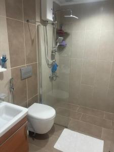 Un baño con ducha, inodoro y lavabo. en Charming 3-Bedroom Home with Private Pool for Rent, en Fethiye