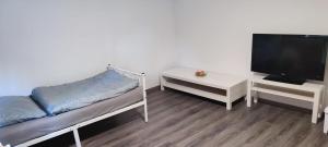 TV a/nebo společenská místnost v ubytování Tivoli 1