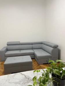 Central Downtown Apartments 1067 Budapest, Csengery utca 62 kép - 2