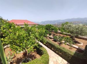 Photo de la galerie de l'établissement Villa Mitsi Sarande, à Saranda