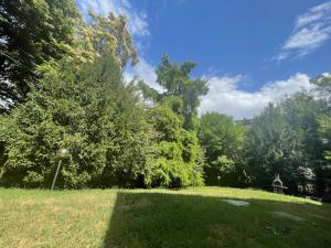 un campo erboso con alberi e una collina erbosa con affabile di SIEPELUNGA B&B a Bologna 1 altra foto
