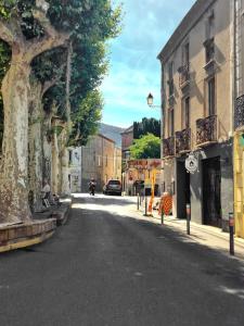 a street in a town with a tree and buildings at Galamus Bonheur - Quand tu veux t'échapper de chez toi ! in Saint-Paul-de-Fenouillet